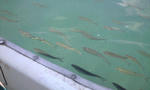080518_1226~0002.jpg