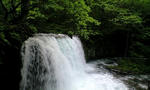 080524_1714~0001.jpg