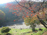 CA390017.JPG