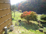 CA390018.JPG