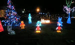 081214_1744~0001.jpg