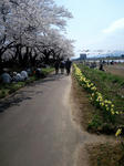 CA3C0014.jpg
