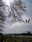 CA3C0016.jpg