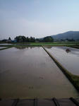ブログ写真0509