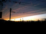 CA3C090930.jpg