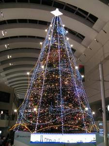 tree_.jpg