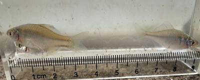 R0031683.JPG