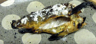 RIMG0395.JPG