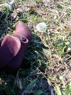 20071220130606.jpg