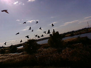 20071119123015.jpg