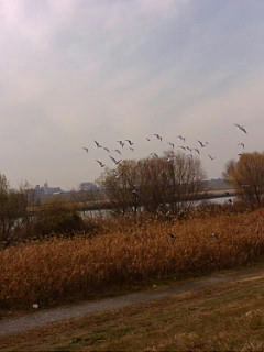 20071228125441.jpg