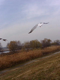 20071228125453.jpg