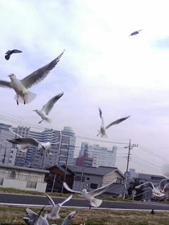 20071228130224.jpg