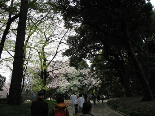 1b049576.jpg