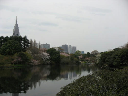 3446317a.jpg
