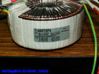 SA100AMP_01_005.jpg