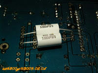 DAC4398_003.jpg