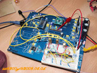 DAC4398_004.jpg