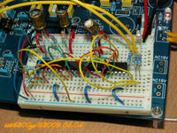 DAC4398_005.jpg