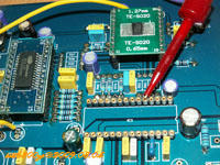 DAC4398_007.jpg