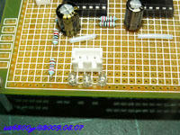 DAC4398_013.jpg