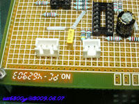 DAC4398_014.jpg