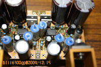 DAC4398_024.jpg