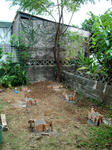 koya02.jpg
