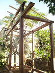 koya06.jpg