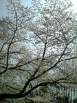 DVC00086.JPG