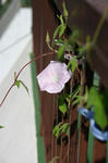 IMG_0020.JPG