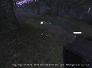 Hin080407033614a.jpg