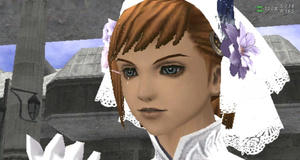 f92641c7.jpg