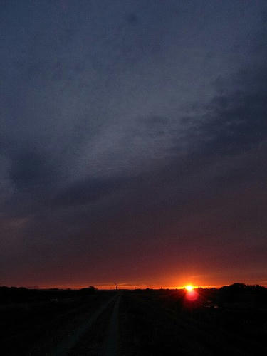 081123002.JPG