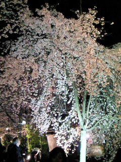 200904032139000.jpg