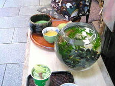 200906021743000.jpg