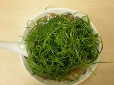 P9220004.jpg