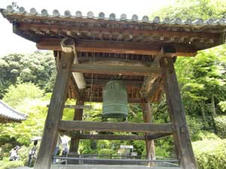 CIMG0594.jpg