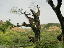 CIMG1608.jpg