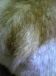Image133.jpg
