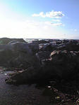 Image200.jpg