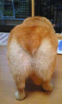 Image001.jpg