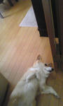 3c3922ab.jpg