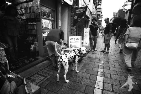 自由が丘