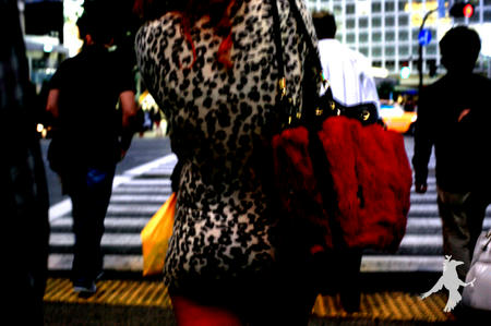 渋谷