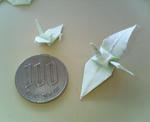 20070727a.jpg