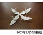 20070727b.jpg