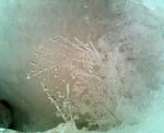 20070912b.jpg