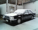 20080210b.jpg