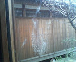 20080228a.jpg